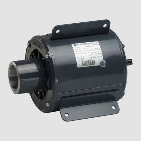 الکتروموتور مشعل 550 وات دو دور هنینگ الکتروژن