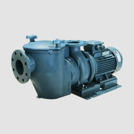 پمپ تصفیه استخر ده اسب ایمکس SE10