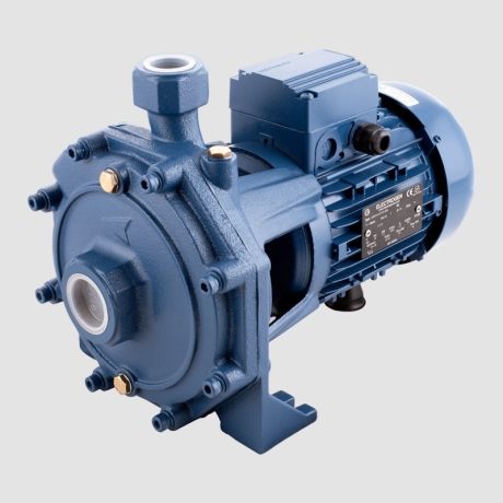 پمپ آب دو اسب دو پروانه الکتروژن CB210